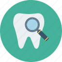 dental, dentist, find, search, stomatology, tooth icon