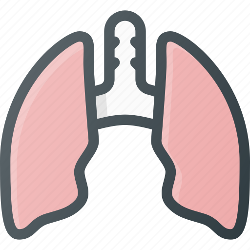Anatomy, lung, lungs, medical, organ icon - Download on Iconfinder