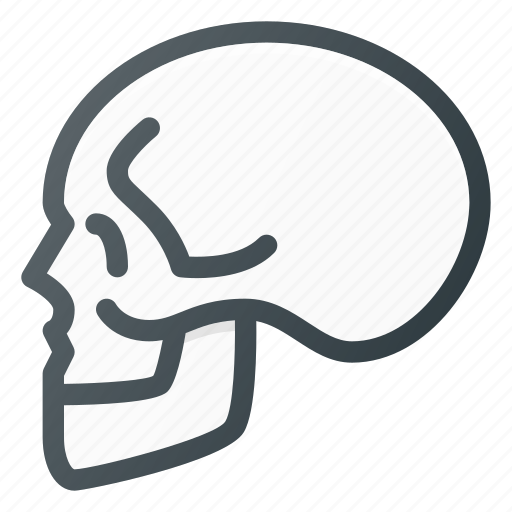 Anathomy, bone, death, head, skull icon - Download on Iconfinder