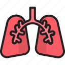 anatomy, breath, human, lungs, pulmonology, user