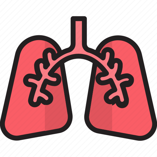 Anatomy, breath, human, lungs, pulmonology, user icon - Download on Iconfinder