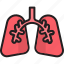 anatomy, breath, human, lungs, pulmonology, user 
