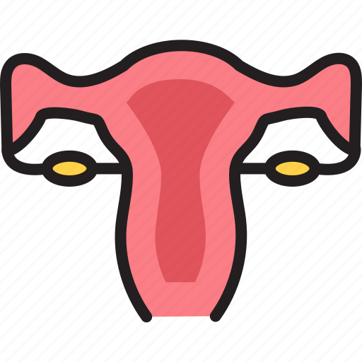 Body, gynecology, human, organ, reproductive, user, uterus icon - Download on Iconfinder