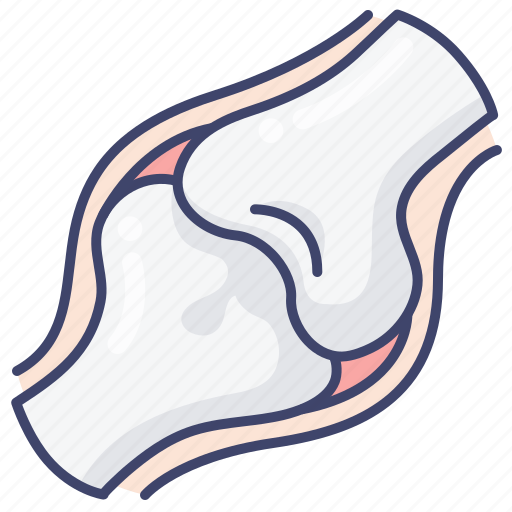 Anatomy, bone, joint, medical icon - Download on Iconfinder