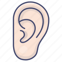 anatomy, ear, hear, listen 