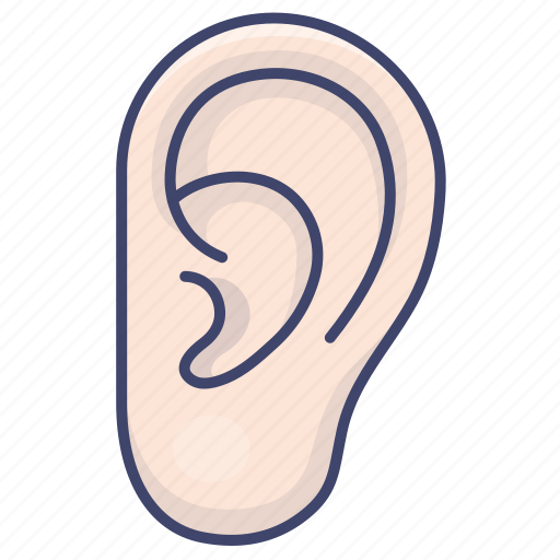 Anatomy, ear, hear, listen icon - Download on Iconfinder