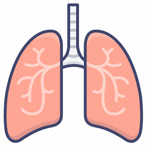 Anatomy, lung, lungs, organ icon - Download on Iconfinder