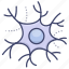 cell, nerve, neuron, system 