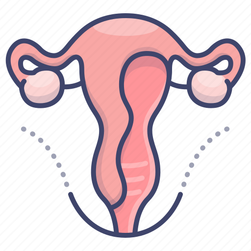 Reproduction, reproductive, system, womb icon - Download on Iconfinder