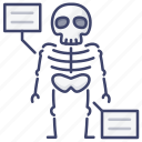 anatomy, bone, skeleton, skull