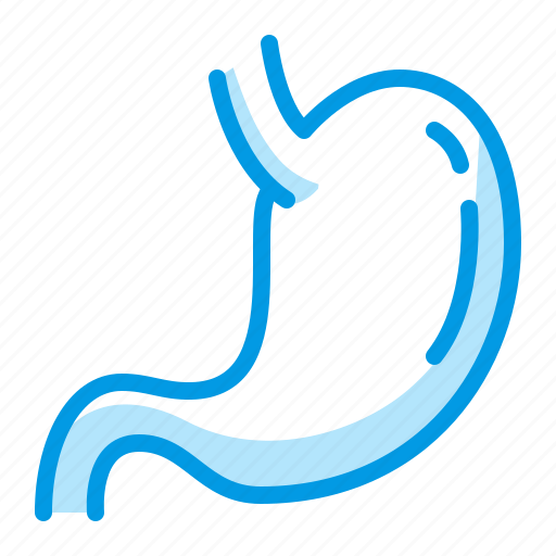 Anatomy, gastroenterology, pain, stomach icon - Download on Iconfinder