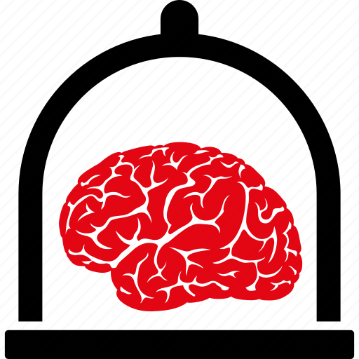 Brain, preserve, anatomy, intelligence, mind, organ, preservation icon - Download on Iconfinder