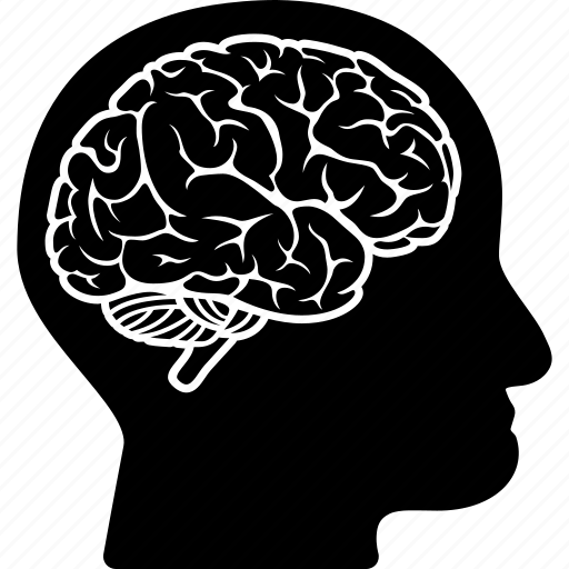 Brain, mind, head, human organ, idea, memory, think icon - Download on Iconfinder