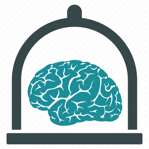 Brain, preserve, anatomy, intelligence, mind, organ, preservation icon - Download on Iconfinder