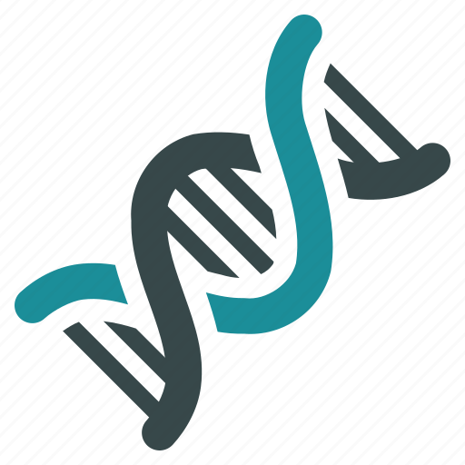 Biology, genetics, science, dna structure, genetic engineering, genome chain, spiral molecule icon - Download on Iconfinder