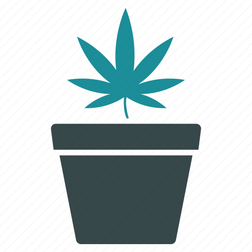 Pot, cannabis, hemp, leaf, marijuana, nature, plant icon - Download on Iconfinder