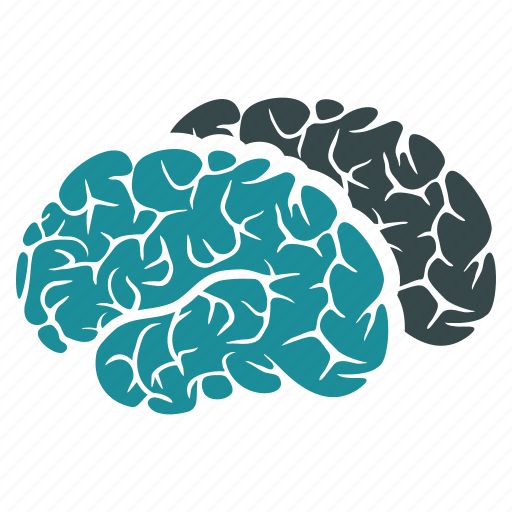 Brain, brains, human, mind, neuro, organ, think icon - Download on Iconfinder