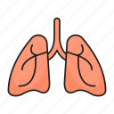 breath, healthcare, lungs, medical, pulmonology