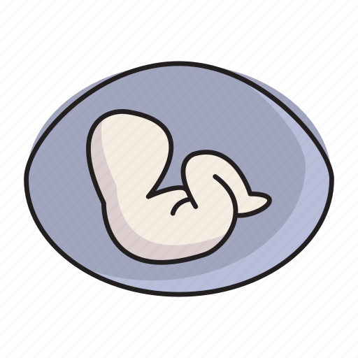 Embryo, fetus, healthcare, medical, pregnant icon - Download on Iconfinder