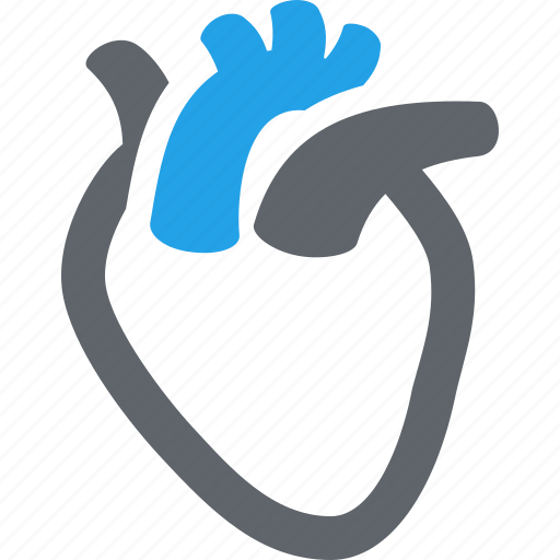 Cardiology, cardiovascular, human heart icon - Download on Iconfinder