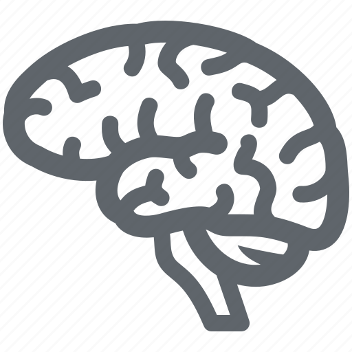 Brain, brainstorming, neuroscience, neurosurgery icon - Download on Iconfinder