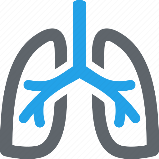 Anatomy, lungs, pulmonology icon - Download on Iconfinder