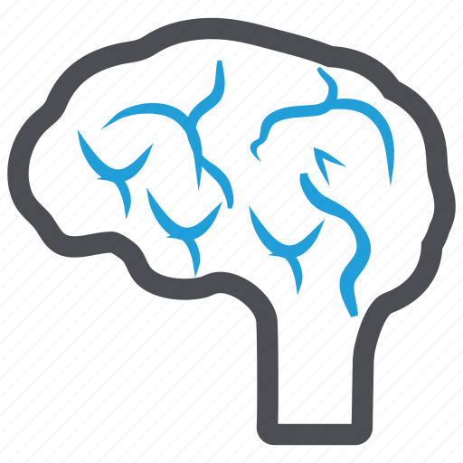 Brain, head, intellectual, mind, thinking icon - Download on Iconfinder