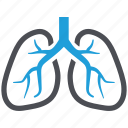 anatomy, breath, human lungs, lungs, pulmonology