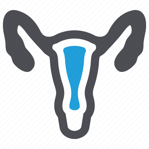Gynecology, healthcare, reproductive, uterus icon - Download on Iconfinder
