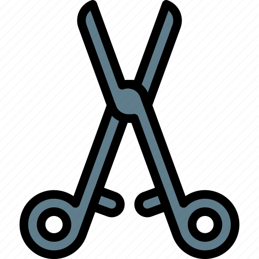 Equipment, health, hospital, medical, scissors, surgical, tool icon - Download on Iconfinder