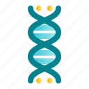 biology, dna, genetics, genome, molecule
