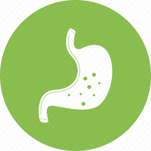 Digestion, digestive, gastric, gastro, gastroenterology, stomach, stomach acid icon - Download on Iconfinder