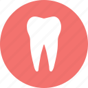 dental treatment, oral health, stomatology, teeth 