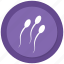 reproduction, sperm, sperms, sperms cells 