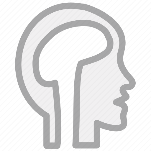 Brain, head, human, mind, cranium icon - Download on Iconfinder