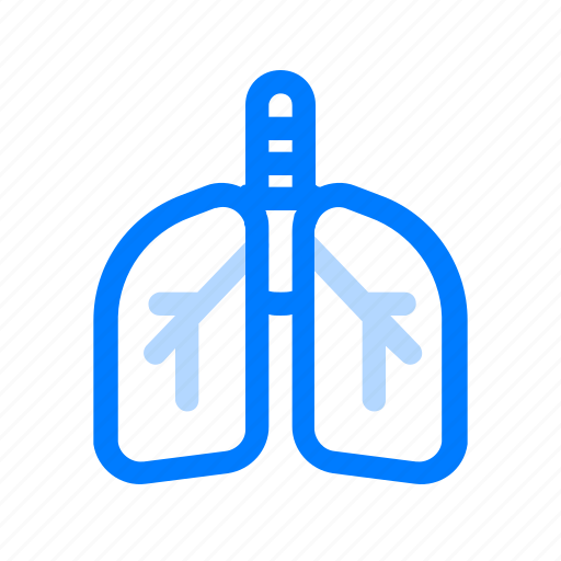 Lungs, breathe, healthy icon - Download on Iconfinder