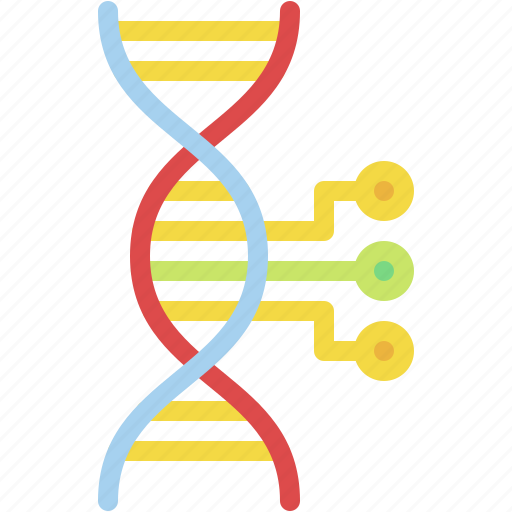 Dna, biology, genetic, science, structure icon - Download on Iconfinder