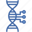 dna, biology, genetic, science, structure 