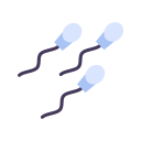 sperm, reproduction, fertilization, fertility, medical, pregnancy, semen, egg