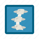 x ray, medical, hospital, healthcare, health, doctor, medicine, xray