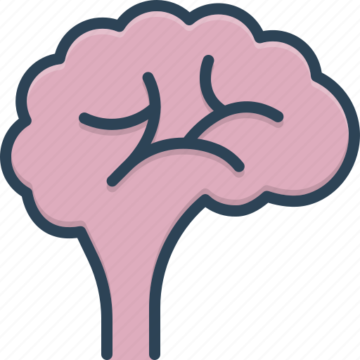 Brain, brainstorm, creativity, genius, human, idea, memory icon - Download on Iconfinder