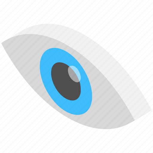 Eye, human eye, ophthalmology, optics, vision icon - Download on Iconfinder