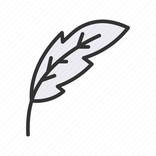 Quill, quinn feather, bird, pen, plume icon - Download on Iconfinder