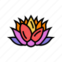 lotus, flower, yoga, relax, meditation, zen
