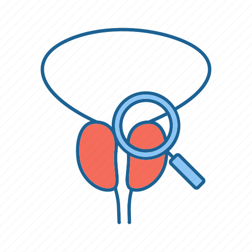 Cancer, check, diagnosis, exam, examination, prostate, rectal icon - Download on Iconfinder