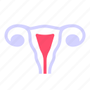 ovaries, uterus, reproductive, gynecology, medical, healthcare, female