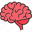 brain, brainstorm, creativity, genius, human, memory, psychology, icon 
