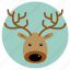 christmas, christmas deer, comet, dancer, deer, rudolph, xmas 