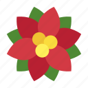 xmas, poinsettia, christmas, flower, red, plant, floral