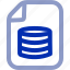 data file, document, storage, folder, archive, database, backup 